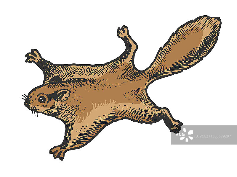 飞鼠动物素描雕刻图片素材