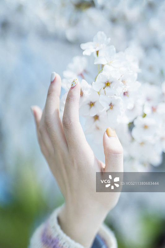 触摸春天图片素材