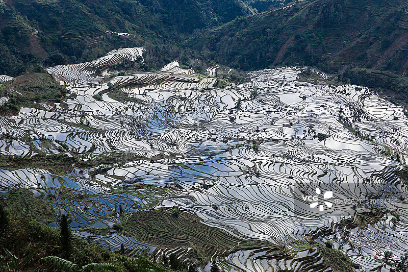 云南元阳梯田图片素材