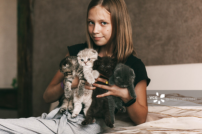 孩子怀抱漂亮的英国小猫，白俄罗斯图片素材