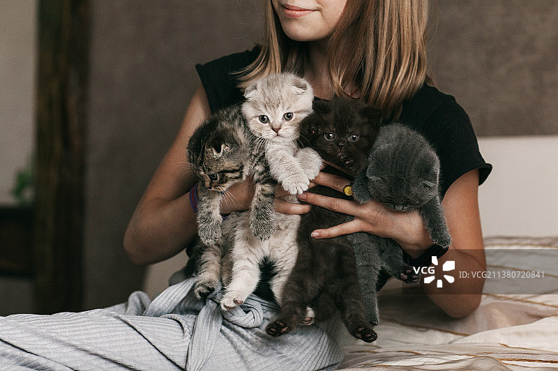 孩子怀抱漂亮的英国小猫，白俄罗斯图片素材