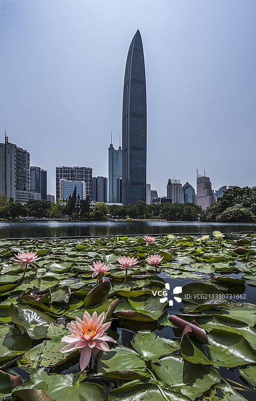广东省深圳市罗湖区双子星荔枝公园白昼风光图片素材