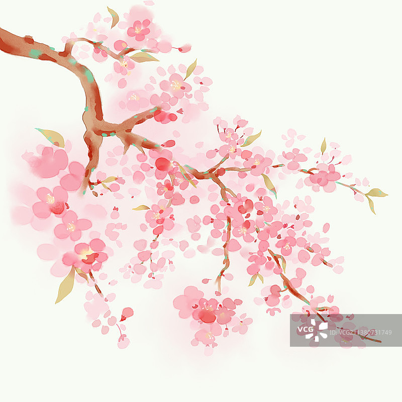 桃花一枝图片素材