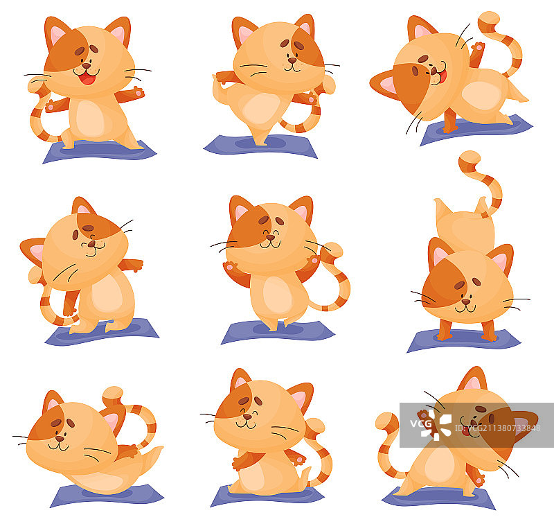 做瑜伽的可爱橘色小猫图片素材