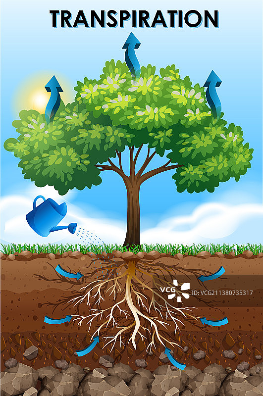 蒸腾作用科学海报设计图片素材