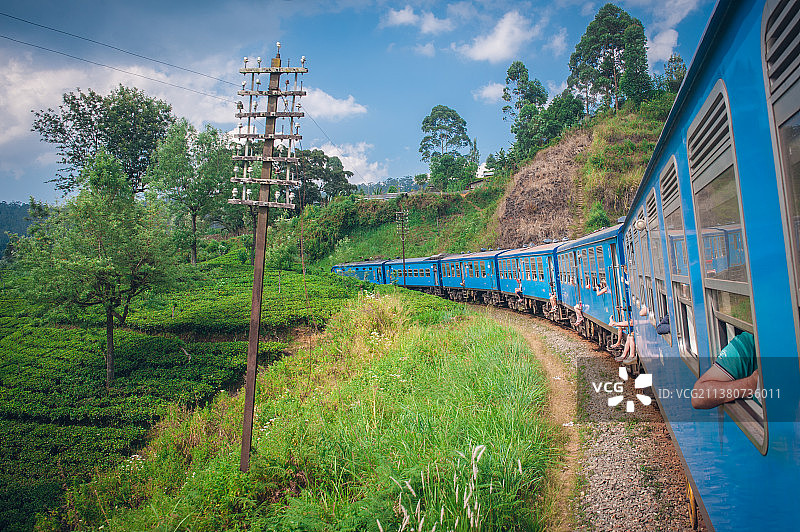 斯里兰卡努沃勒埃利耶到埃拉的茶园小火车图片素材