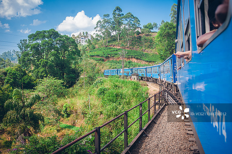 斯里兰卡努沃勒埃利耶到埃拉的茶园小火车图片素材
