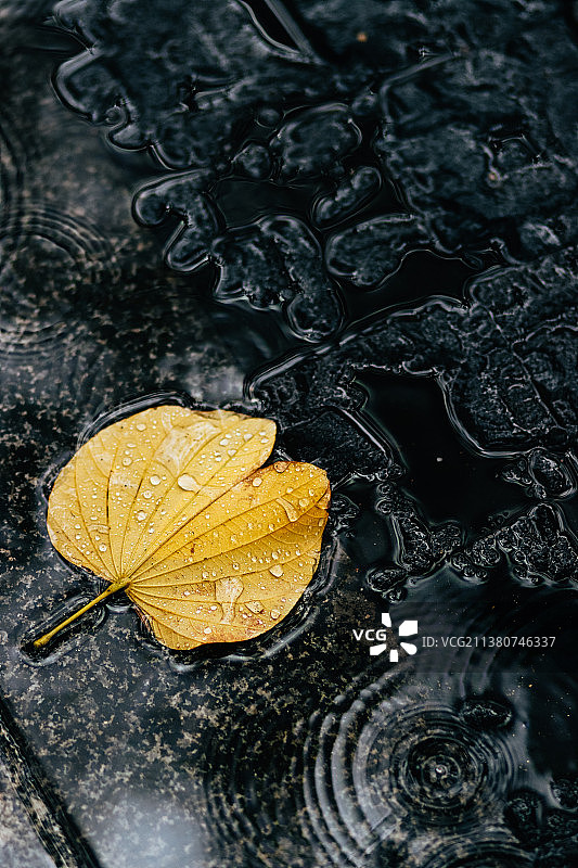 下雨天……街边的色彩……图片素材