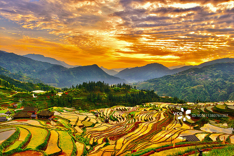 激情燃烧的贵州加榜梯田图片素材