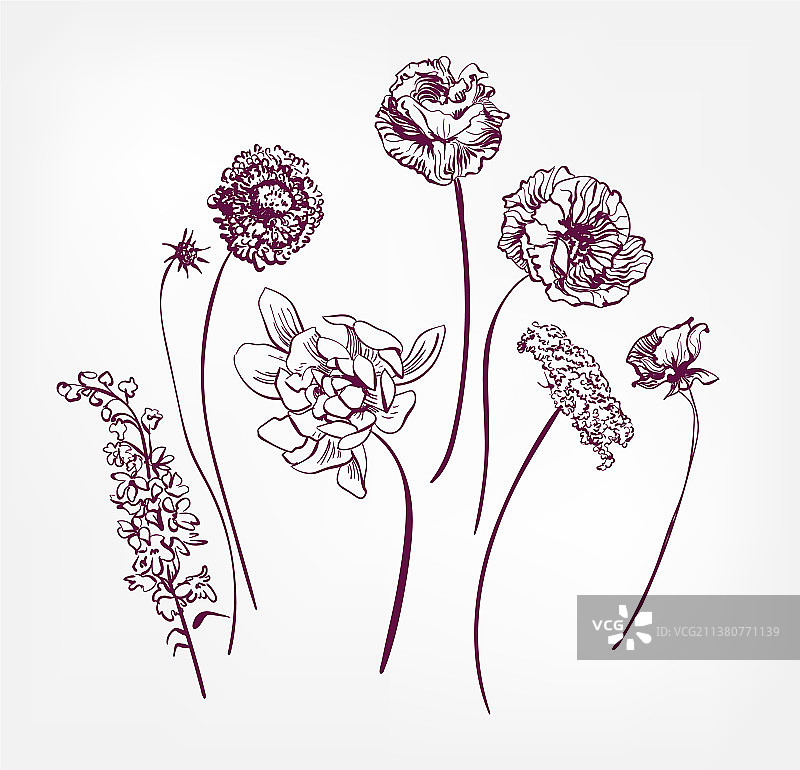 雕刻设计元素花卉装饰草图图片素材