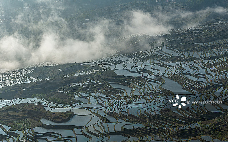 哀牢山元阳梯田图片素材