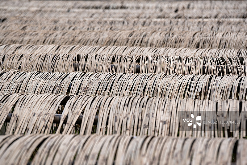 水平画幅拍摄浙江湖州安吉竹编晾晒场中的竹编原材料图片素材