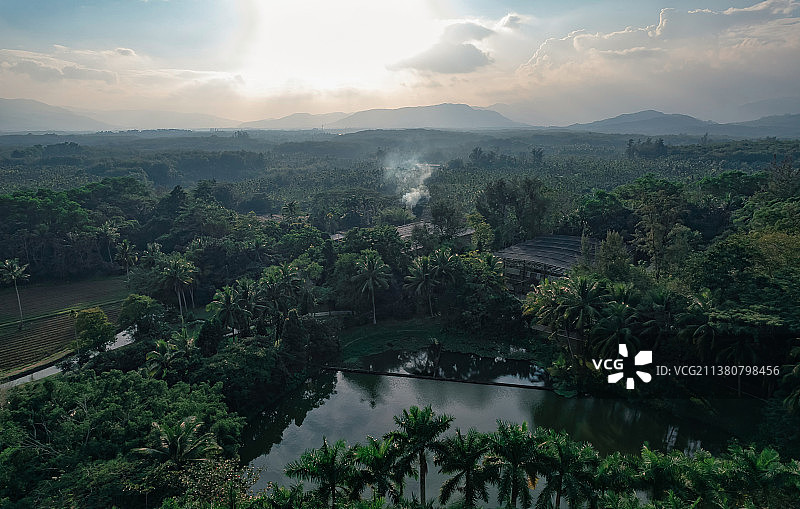 海南热带雨林图片素材