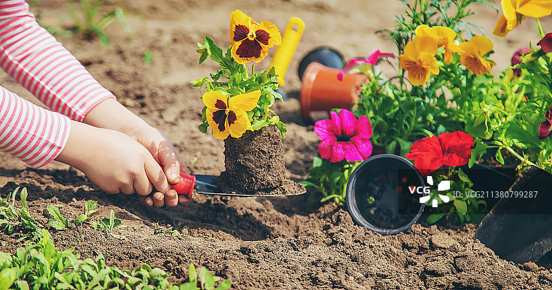 孩子种植花园，选择性聚焦图片素材