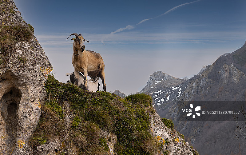 西班牙阿斯图里亚斯山峰女王图片素材