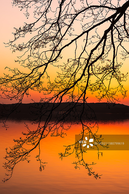 日落时奥尔什丁湖边的树木轮廓，波兰图片素材