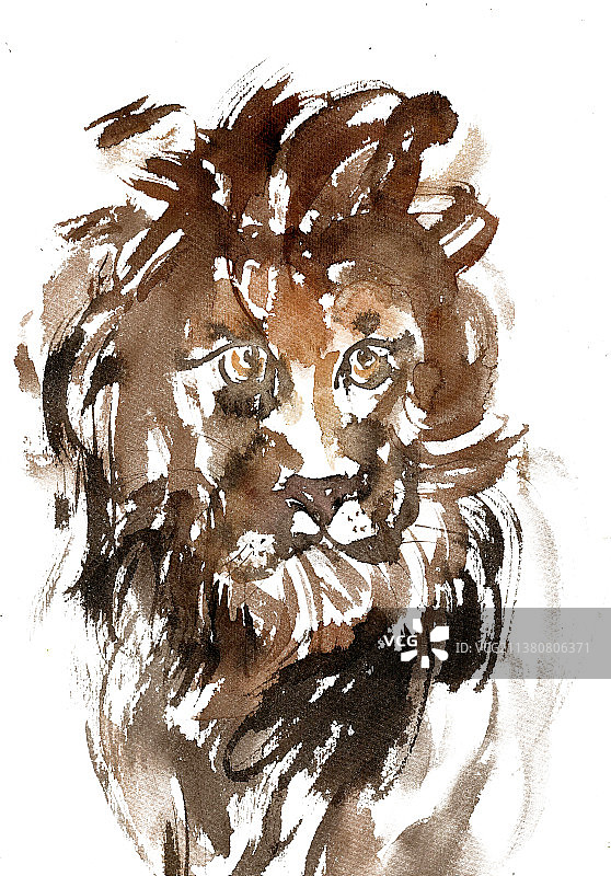 凶猛的狮子图片素材