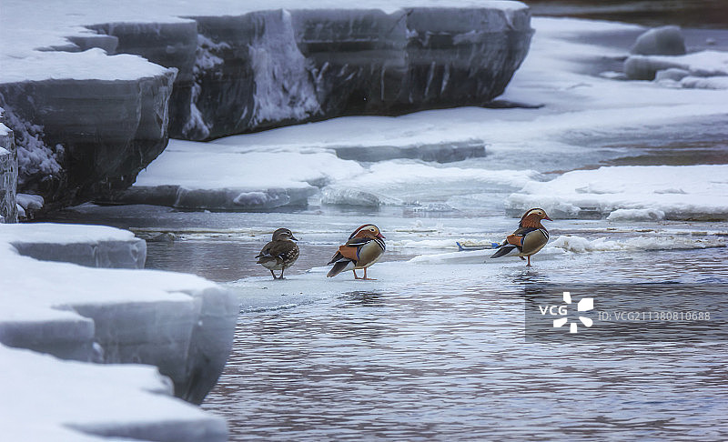 阿尔山四季风光图片素材
