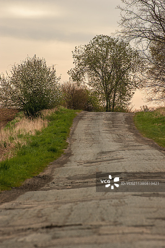 空旷的道路，树木映衬着天空图片素材