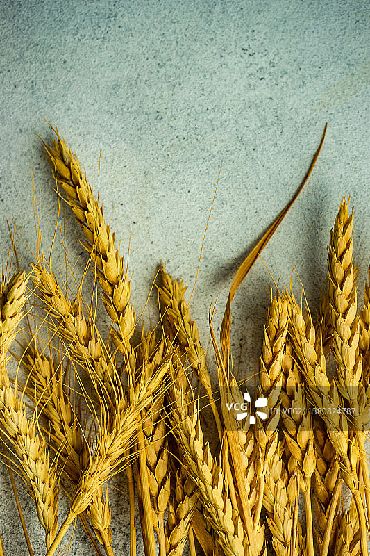 桌上的麦粒特写图片素材