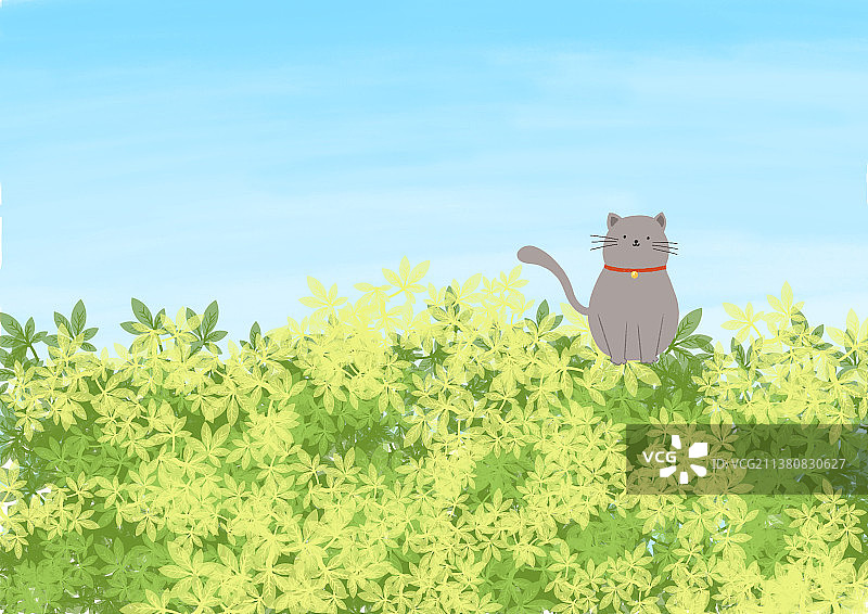 草丛的猫咪图片素材