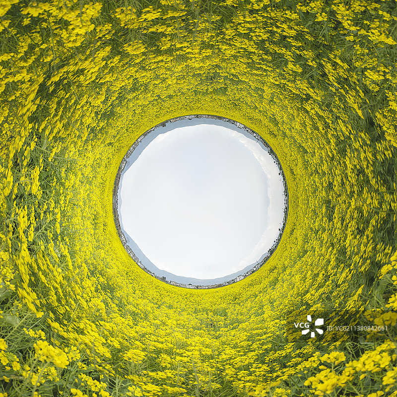 万花小星球图片素材