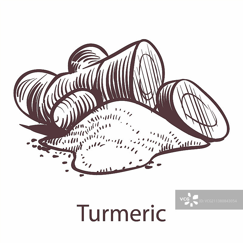 姜黄根植物素描标签图标图片素材