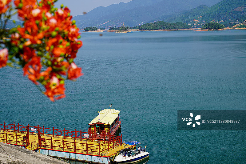 茂名高州玉湖水库风景区凤凰花图片素材