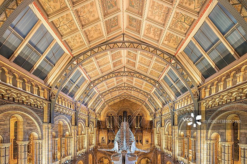 英国自然历史博物馆图片素材