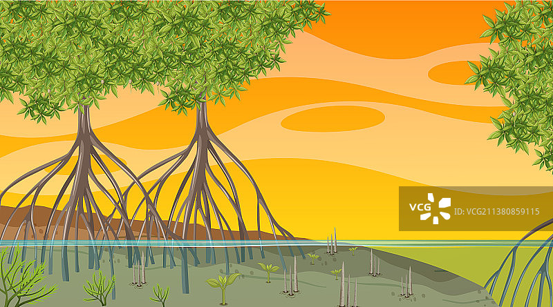 日落时分的红树林自然风光图片素材