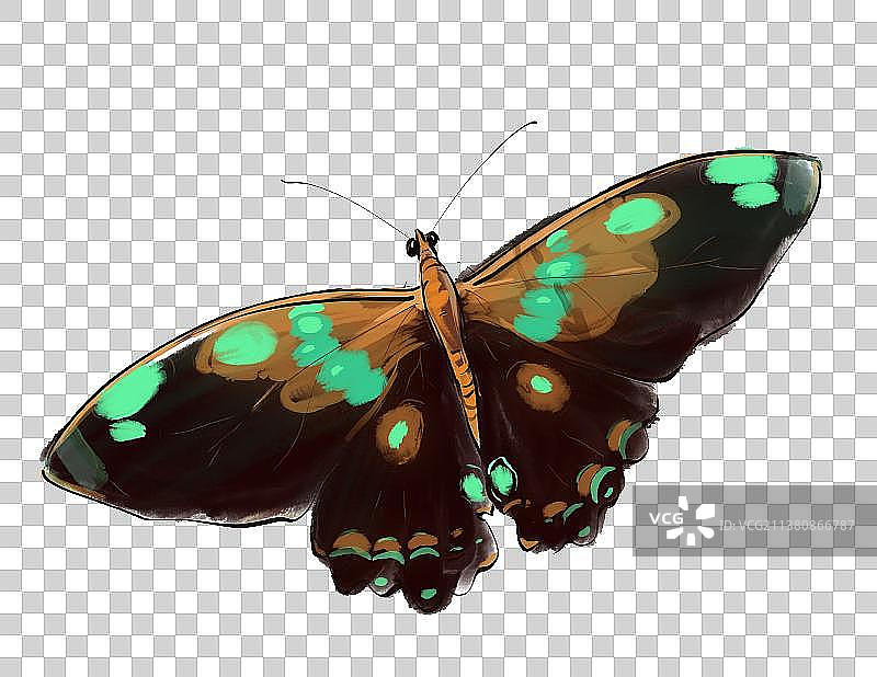 文学高雅设计插画设计元素蝴蝶图片素材