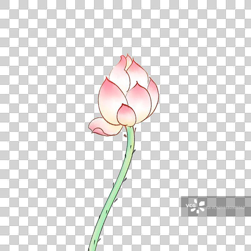 夏天莲花元素图片素材