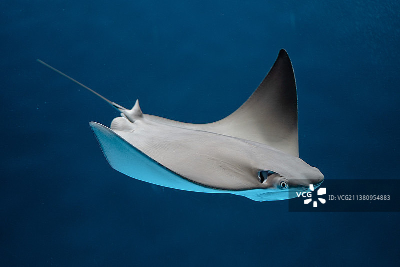 水中的飞机图片素材