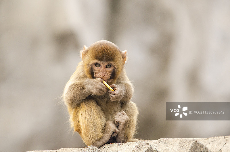 DSC_6698图片素材