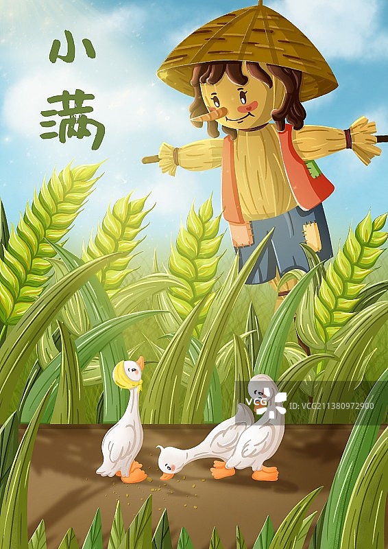 二十四节气插画 - 小满图片素材