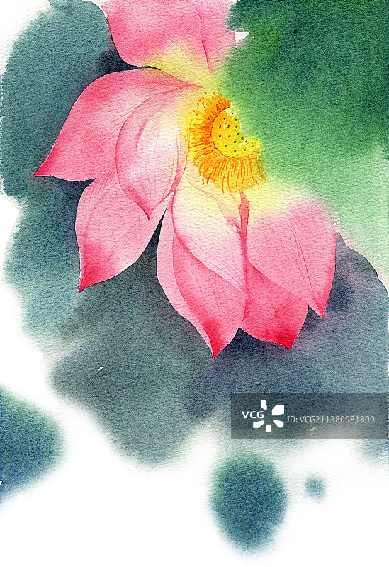 荷花水彩插画水墨风格手绘荷花图片素材