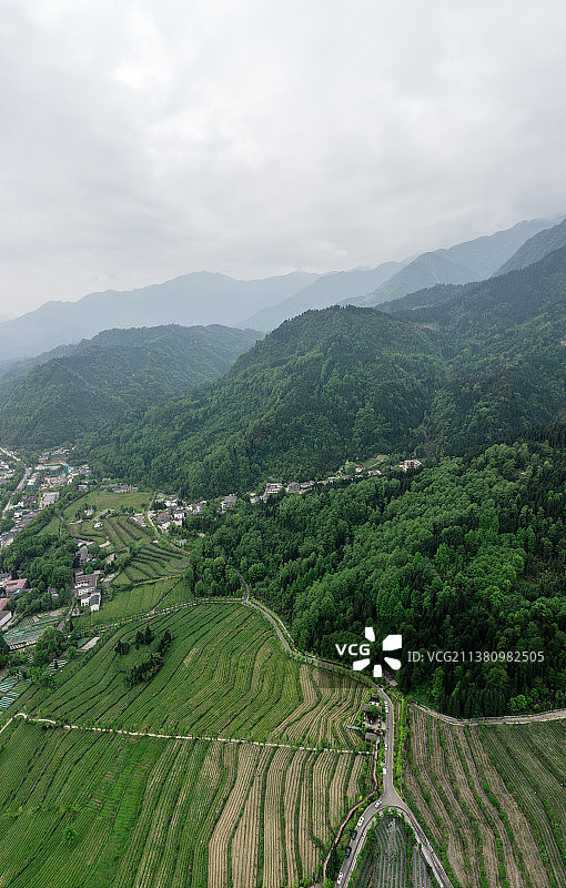 彭州大熊猫国家公园图片素材