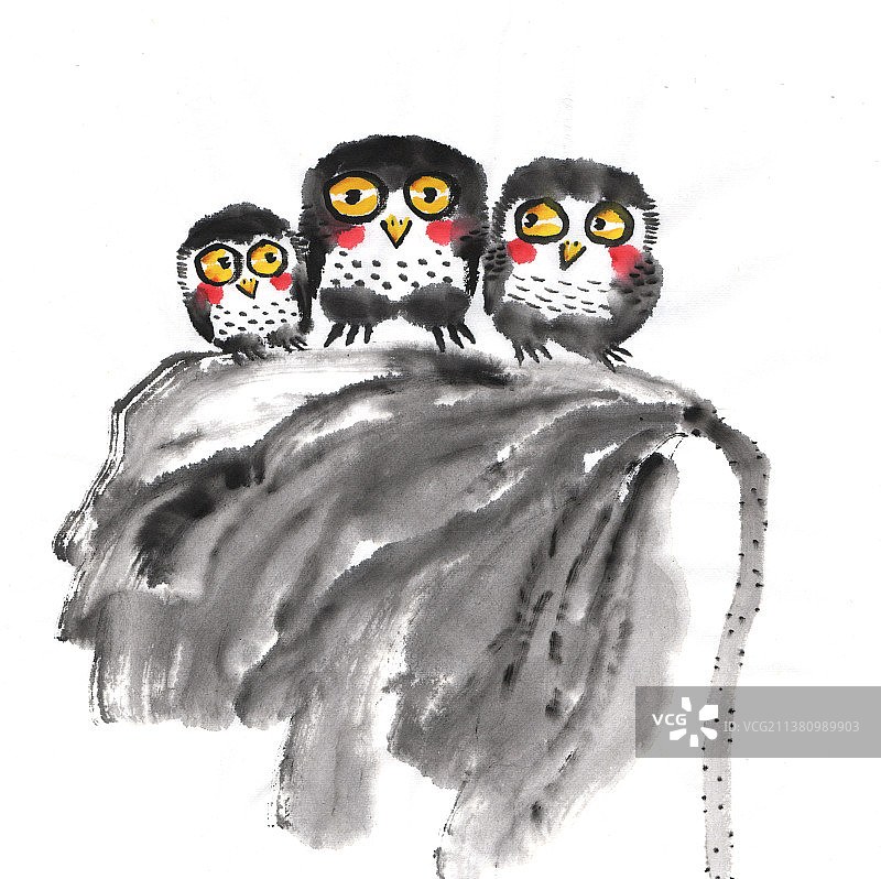 国画水墨插画 站在荷叶上的三只萌鸟图片素材