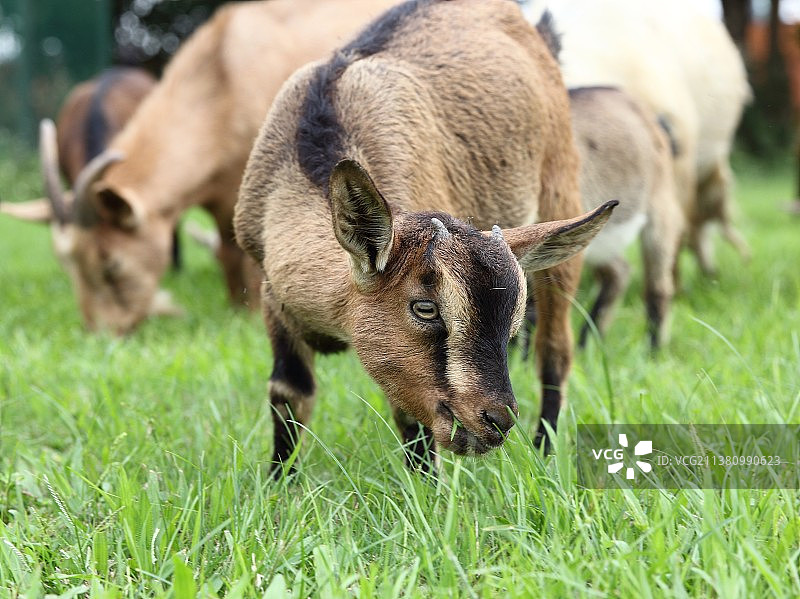 IMG_7820图片素材