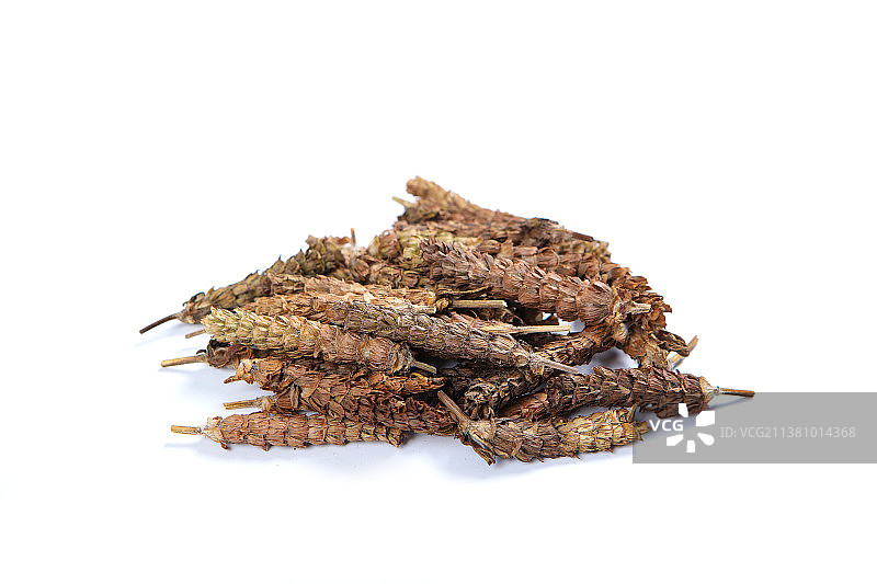 中药材夏枯草图片素材
