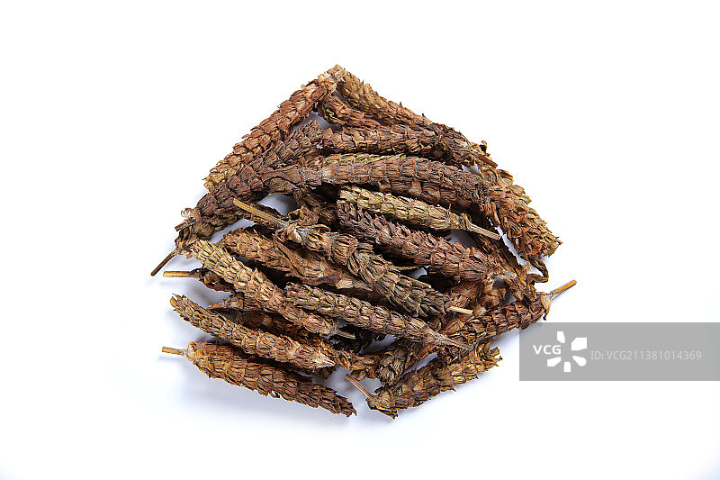 中药材夏枯草图片素材