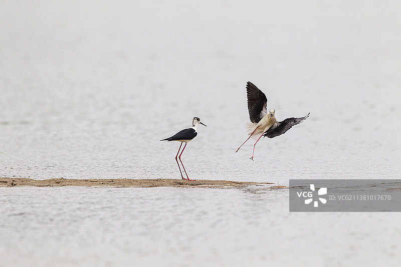 我来了图片素材
