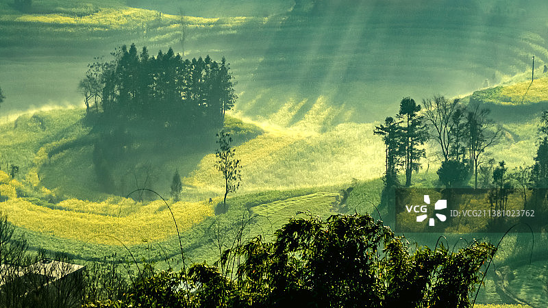 二月罗平图片素材