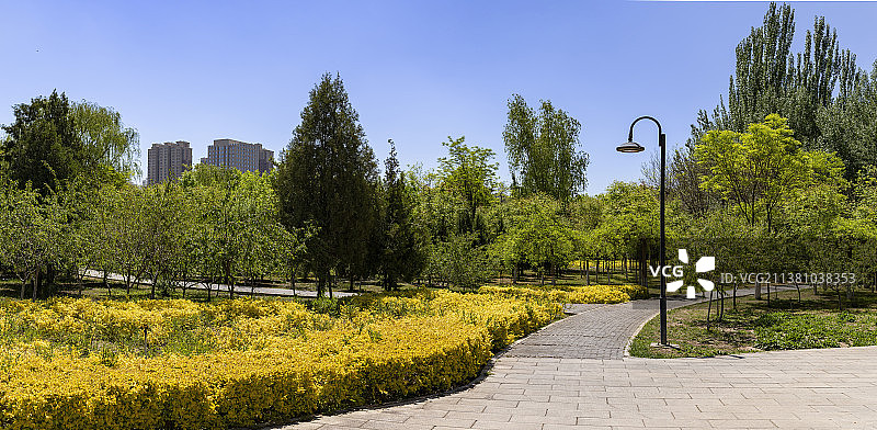 银川的春天—爱伊河畔小公园春景图片素材