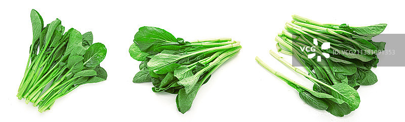 白色背景上的四九菜心组合图图片素材