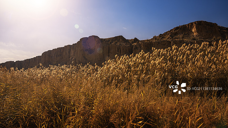 大漠芦荡（水洞沟）图片素材