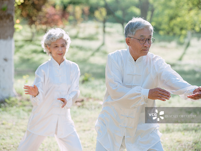 老年夫妇在公园练太极图片素材