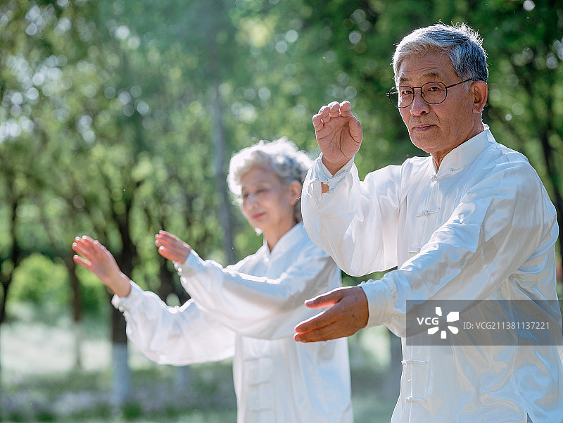 老年夫妇在公园练太极图片素材