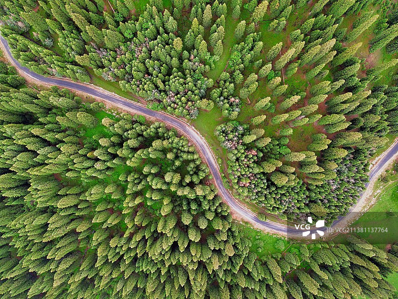 林中路蜿蜒图片素材