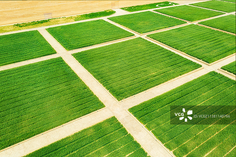 河南郑州中牟《只有河南·戏剧幻城》剧场小麦田地春季航拍图片素材